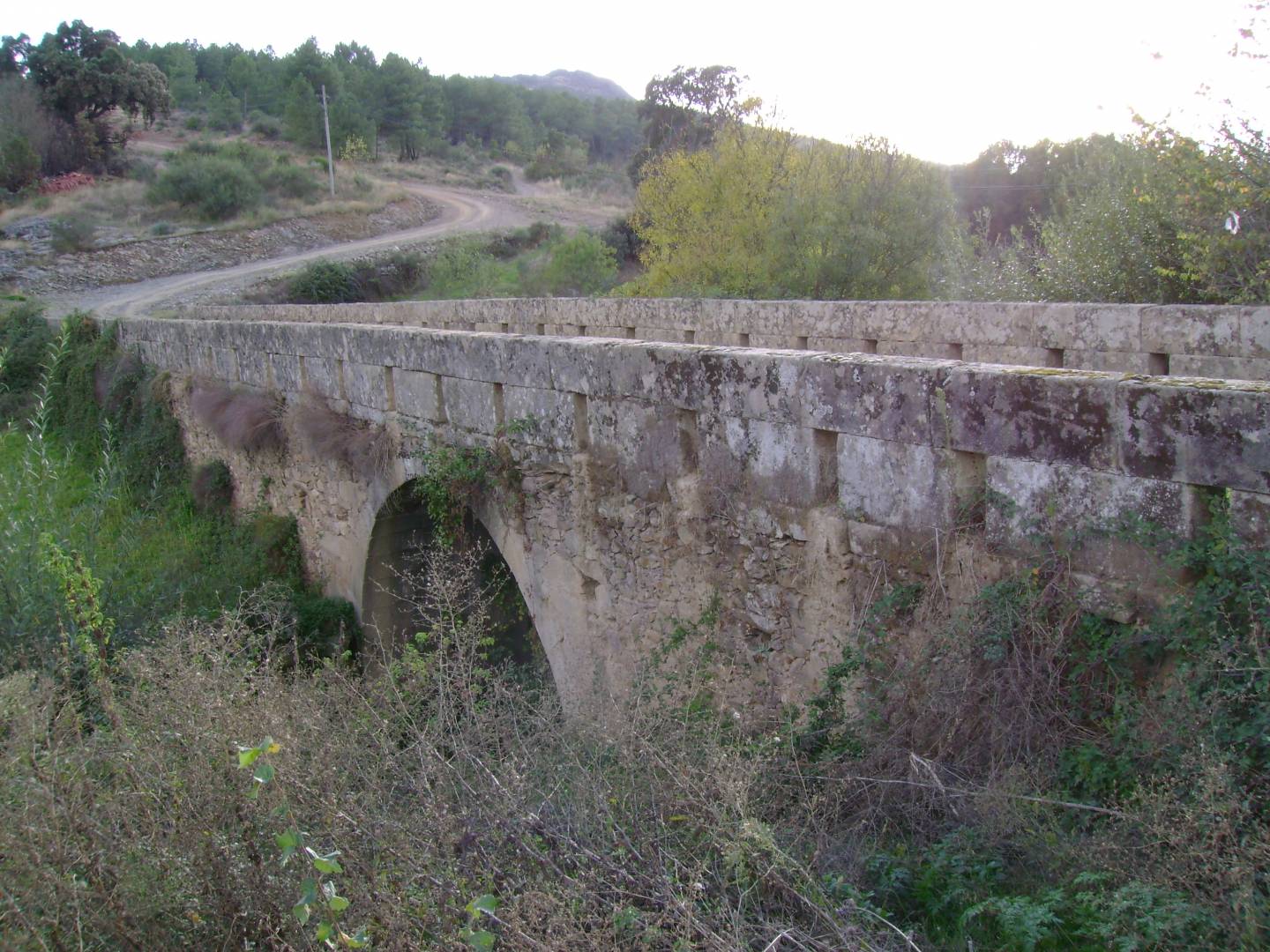 Ponte de Zava