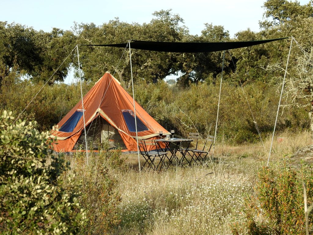 Bubulcus & Bolotas Camping