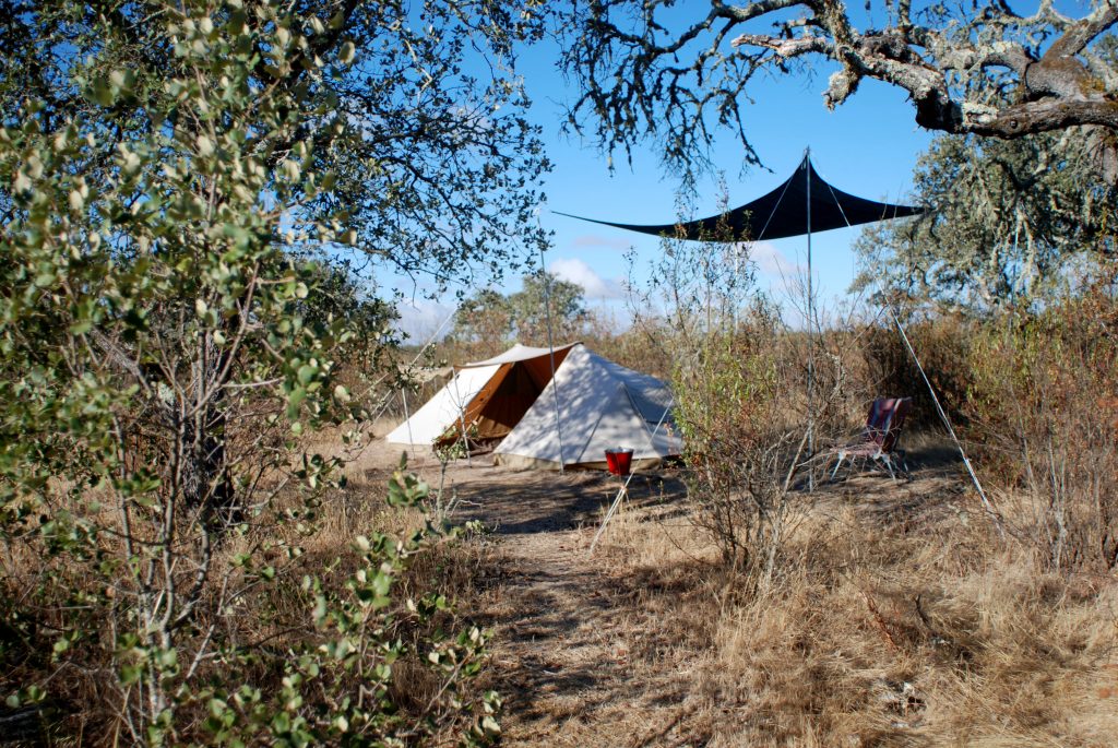 Bubulcus & Bolotas Camping