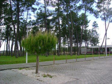 Parque Urbano de Abrantes / Parque de São Lourenço