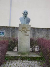 Busto de José Maria Teixeira da Rocha
