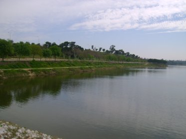 Barragem de Patudos