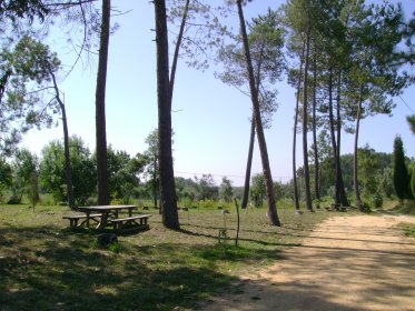 Parque de Merendas de Aguim