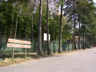 Parque de Campismo de Merujal - Arouca