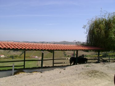 Escola de Equitação da Quinta de São Sebastião