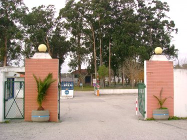 Parque de Campismo Municipal de Aveiro - São Jacinto
