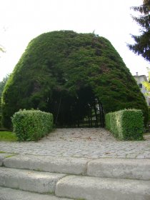 Jardim de São Bartolomeu