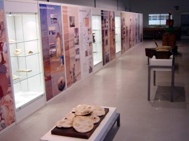 Reservas Museológicas Visitáveis