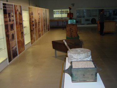 Reservas Museológicas Visitáveis