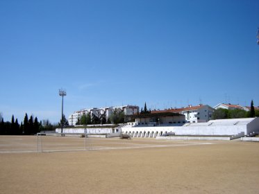 Estádio Doutor Flávio dos Santos