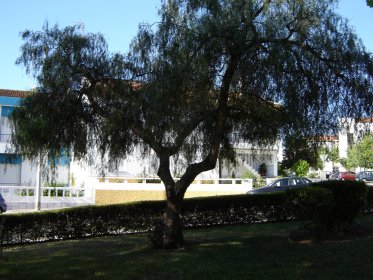 Jardim do Mira Serra