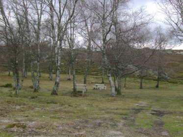 Parque de Merendas da Serra de Barrosas