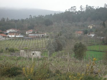 Vila Nune