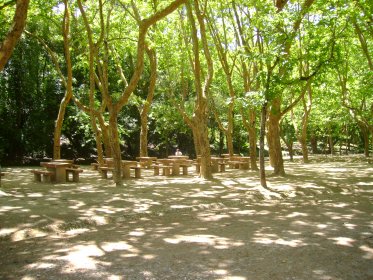 Parque de Merendas Dom Carlos I