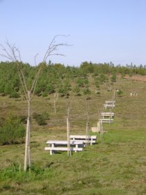 Parque de Merendas do Santuário da Senhora das Neves