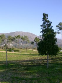 Serra D'Arga