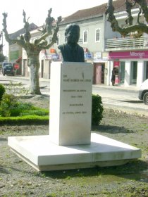 Busto do Doutor José Gomes da Cruz