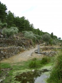 Calçada de Pombal