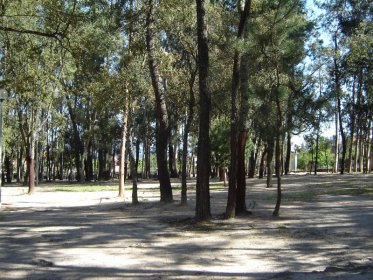 Parque Alzira Claúdio
