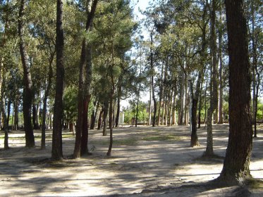 Parque Alzira Claúdio
