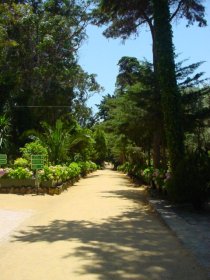 Jardim Marechal Carmona