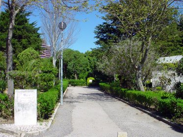Jardim Constantino