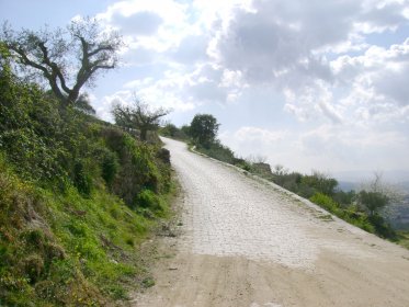Percurso Pedestre Miradouro (GR117)