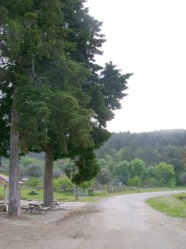 Parque Florestal Lama da Fonte