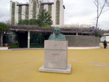 Estátua Doutor Mário Gonçalves Carneiro
