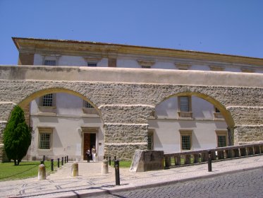 Museu Botânico de Coimbra