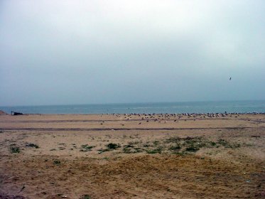 Praia dos Pescadores - Espinho