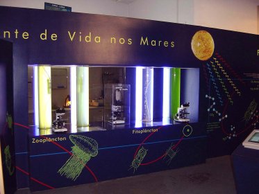 Centro Ciência Viva do Algarve