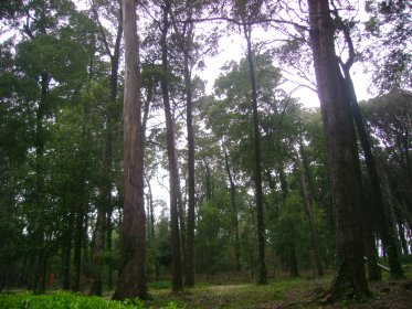 Parque Florestal da Serra da Boa Viagem