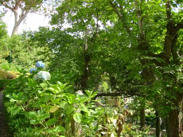 Jardins da Quinta do Monte Panoramic Gardens