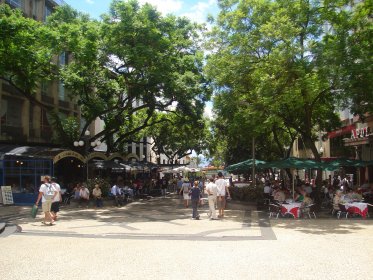 Avenida Arriaga e Avenida Zarco