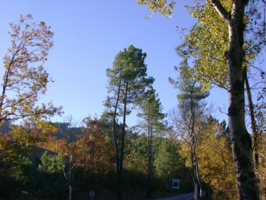 Parque Florestal da Gardunha