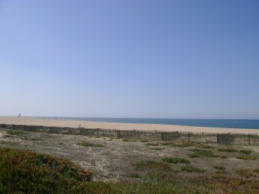 Praia da Mimosa