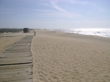Praia de Francelos
