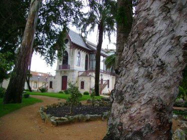 Jardim da Casa Museu Carlos Relvas