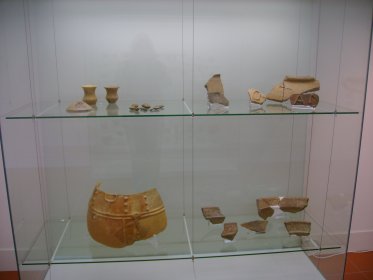 Museu da Cultura Castreja