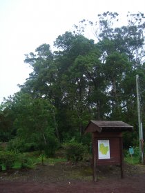 Reserva Florestal do Pinhal da Paz