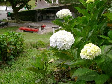 Parque de Merendas das Caldeiras da Ribeira Grande