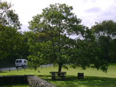 Parque de Merendas de Rosto do Cão