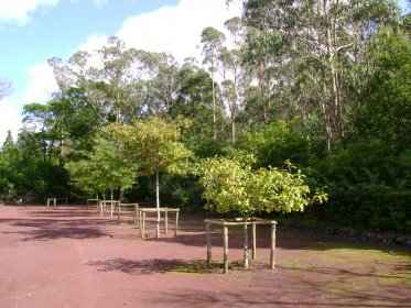 Reserva Florestal do Pinhal da Paz