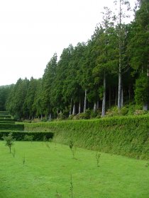 Parque Florestal da Cancela do Cinzeiro