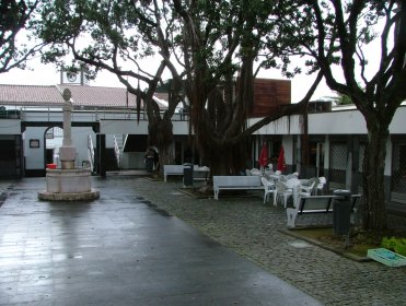 Mercado de Vila Franca do Campo