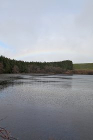 Lagoa da Lomba