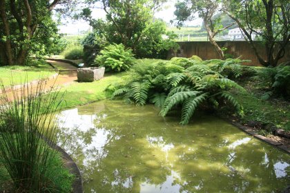 Jardim Botânico do Faial