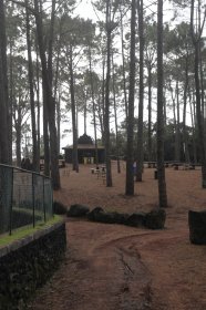 Parque Florestal de São João