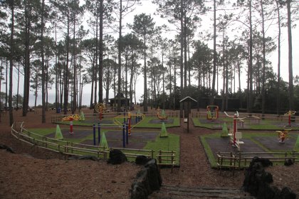 Parque Florestal de São João